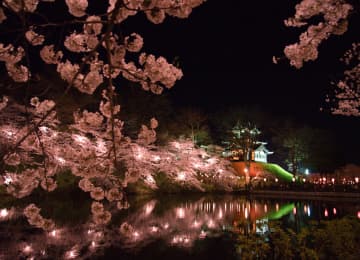 高田城址公園の桜風景