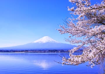 画像:春の富士山周邊