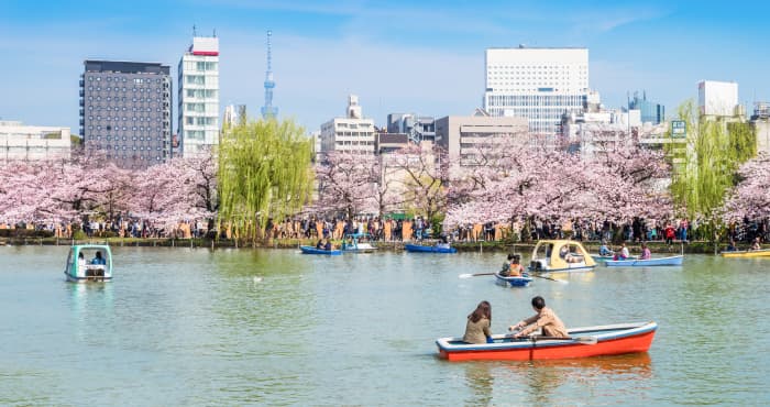 上野恩賜公園の桜風景