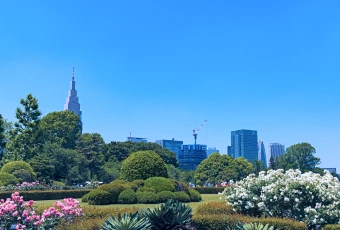 新宿